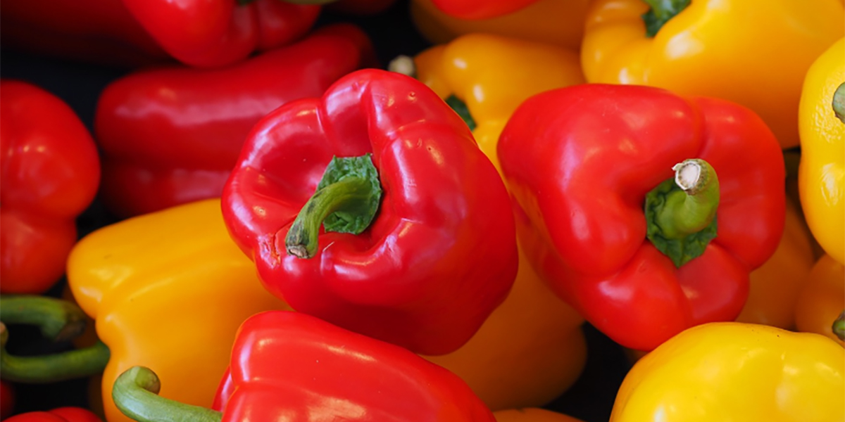 Murcia: il peperone si conferma protagonista dell’ortofrutta spagnola